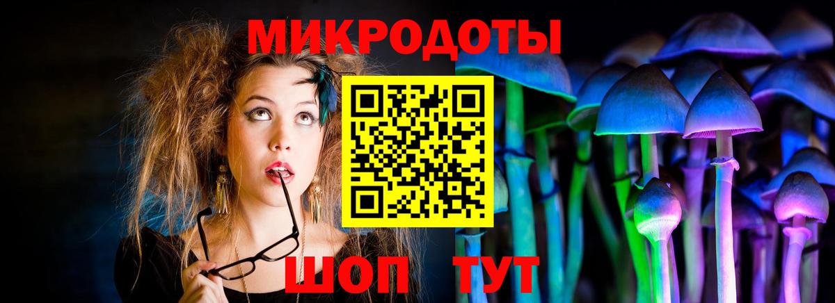 Псилоцибиновые грибы Magic Shrooms  Псилоцибиновые грибы ЛСД  Вход с VPN  цены наркотик  Славянск-на-Кубани 